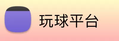 玩球平台 Logo